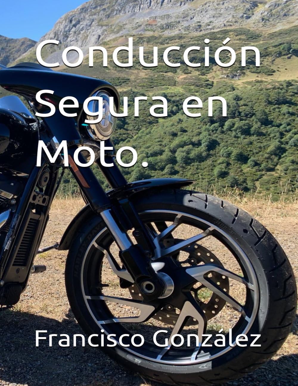 Imagen del libro